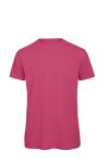 Fuchsia, L